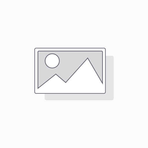 205/65R16C 107R MICHELIN AGILIS X-ICE NORTH+